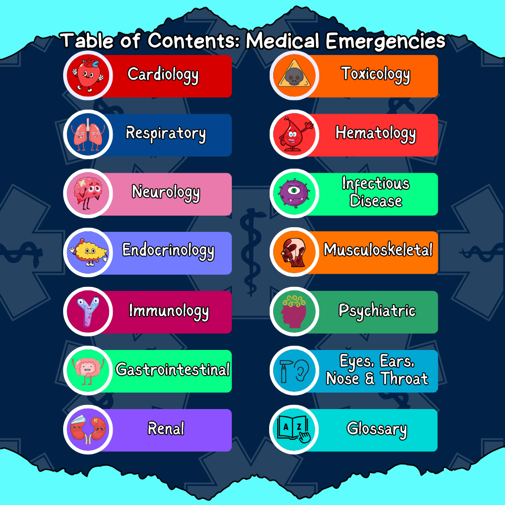 paramedic students guide: book bundle paramedic students guide: book bundle